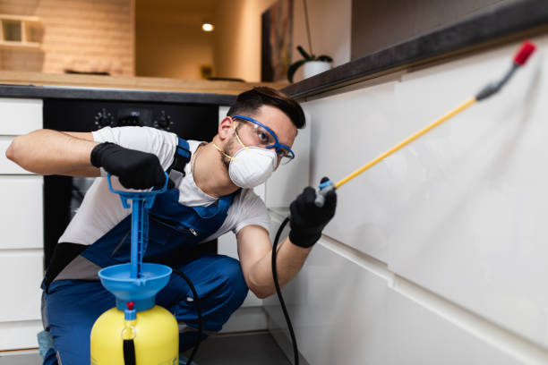 Best Rat Extermination Near Me  in St Peter, WI