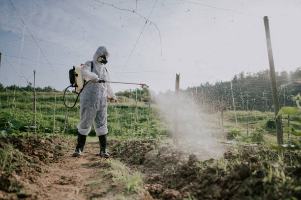 Best Pest Control for Homes  in St Peter, WI