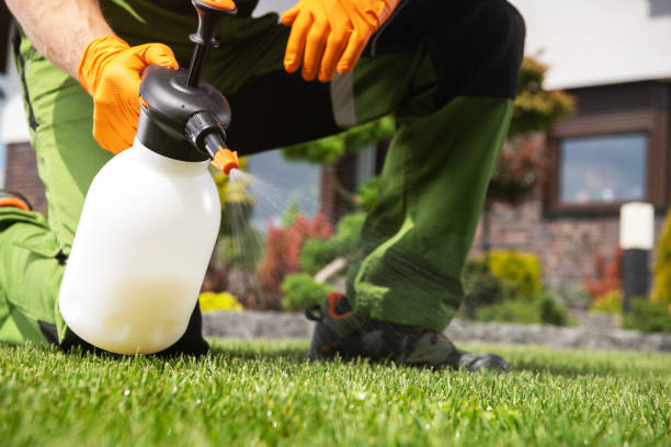 Best Mosquito Control Services  in St Peter, WI
