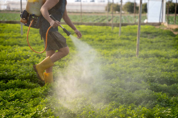 Best Wildlife Control Services  in St Peter, WI