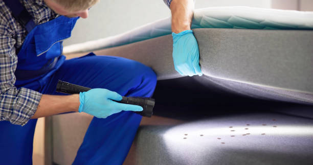 Best Pest Inspection Near Me  in St Peter, WI