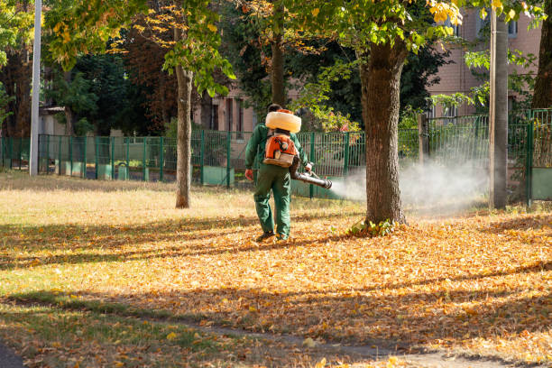 Best Pest Prevention Services  in St Peter, WI