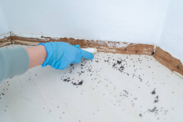 Best Wildlife Control Services  in St Peter, WI