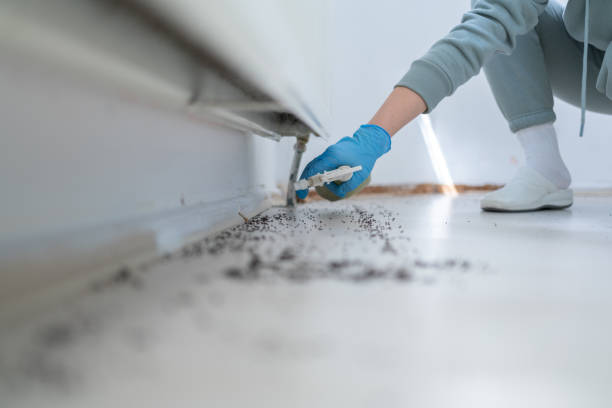 Trusted St Peter, WI Pest Control Experts